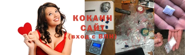 соль ск Алексин