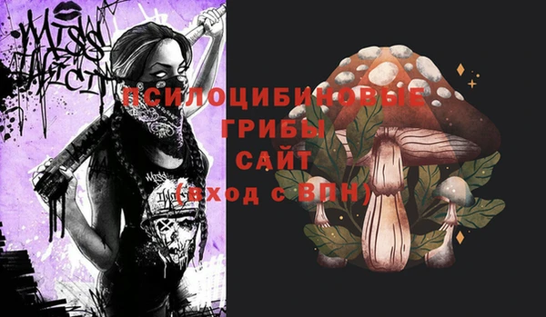 a pvp Алексеевка