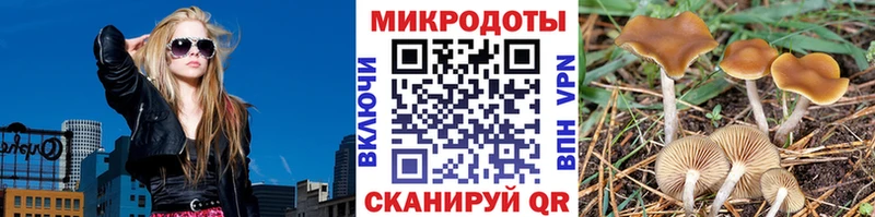 Купить  Мглин  Псилоцибиновые грибы прущие грибы 